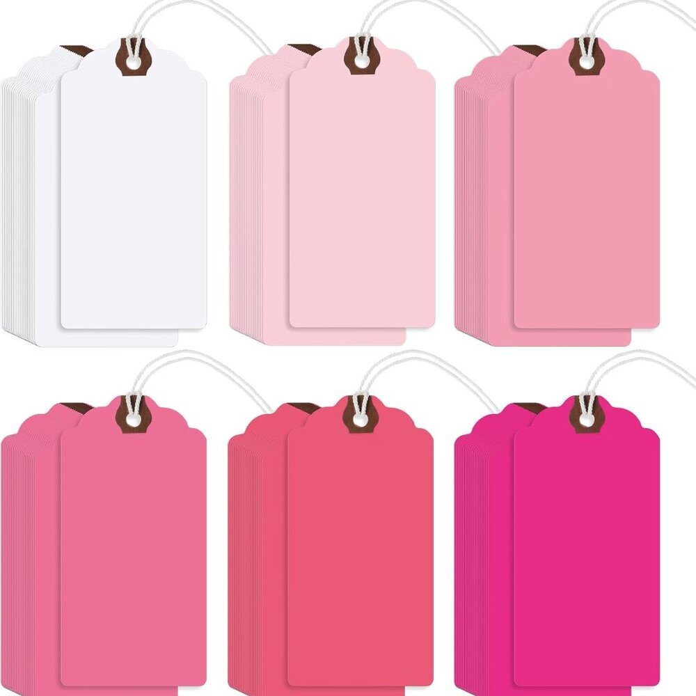 60 Pcs 4 3/4-in x 2 3/8-in Blank Large Paper Gift Tags with String and Reinforce
